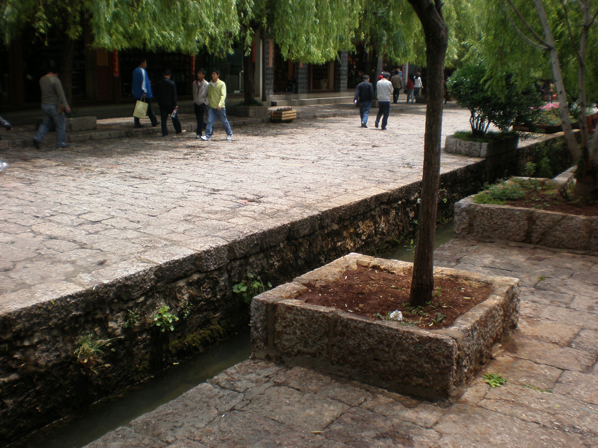 Hình ảnh thực tế Lệ Giang